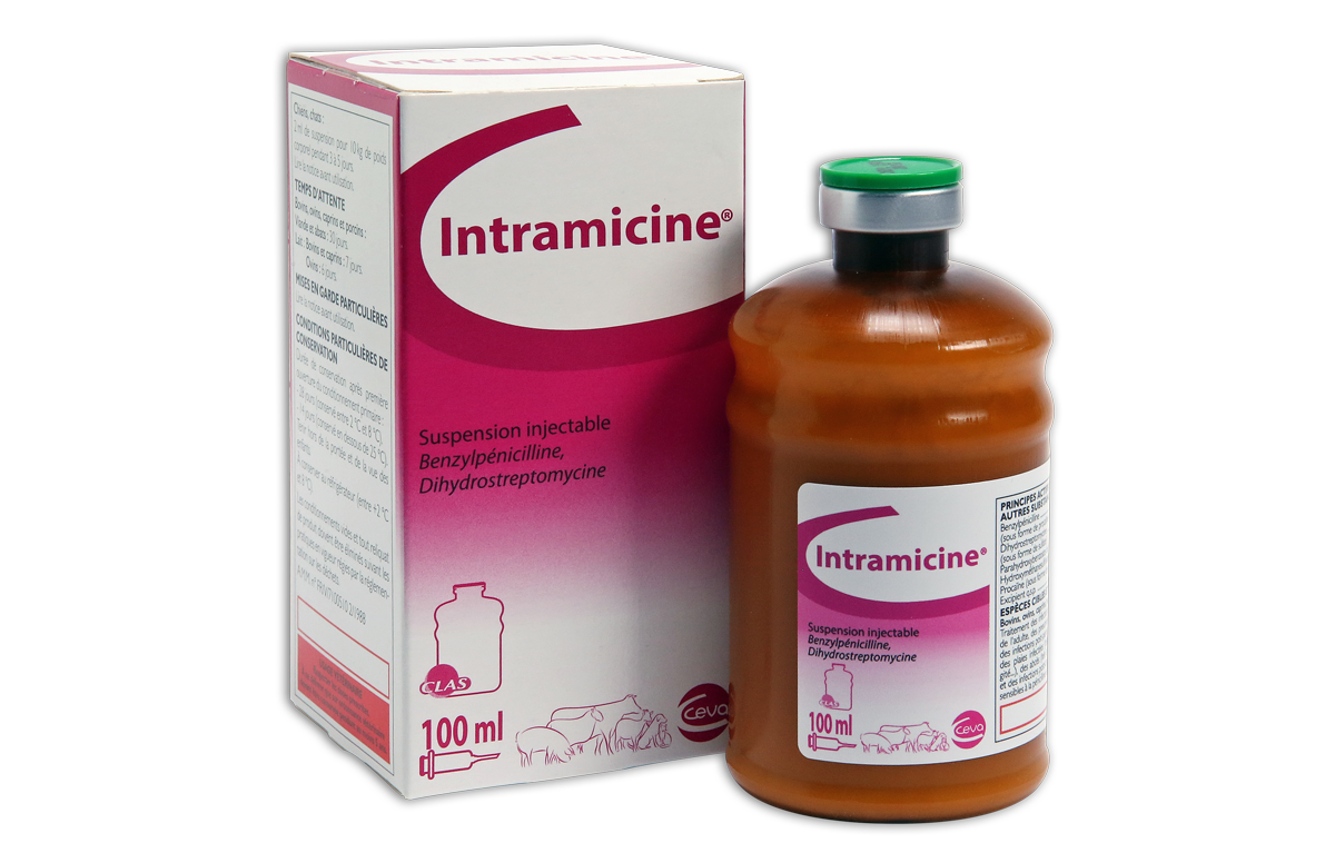 Intramicine box and bottle