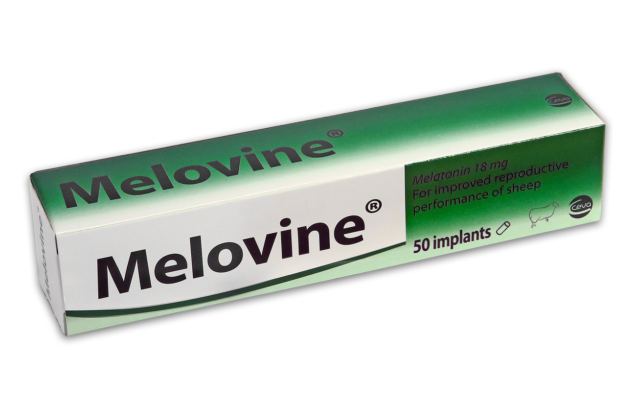 Melovine box