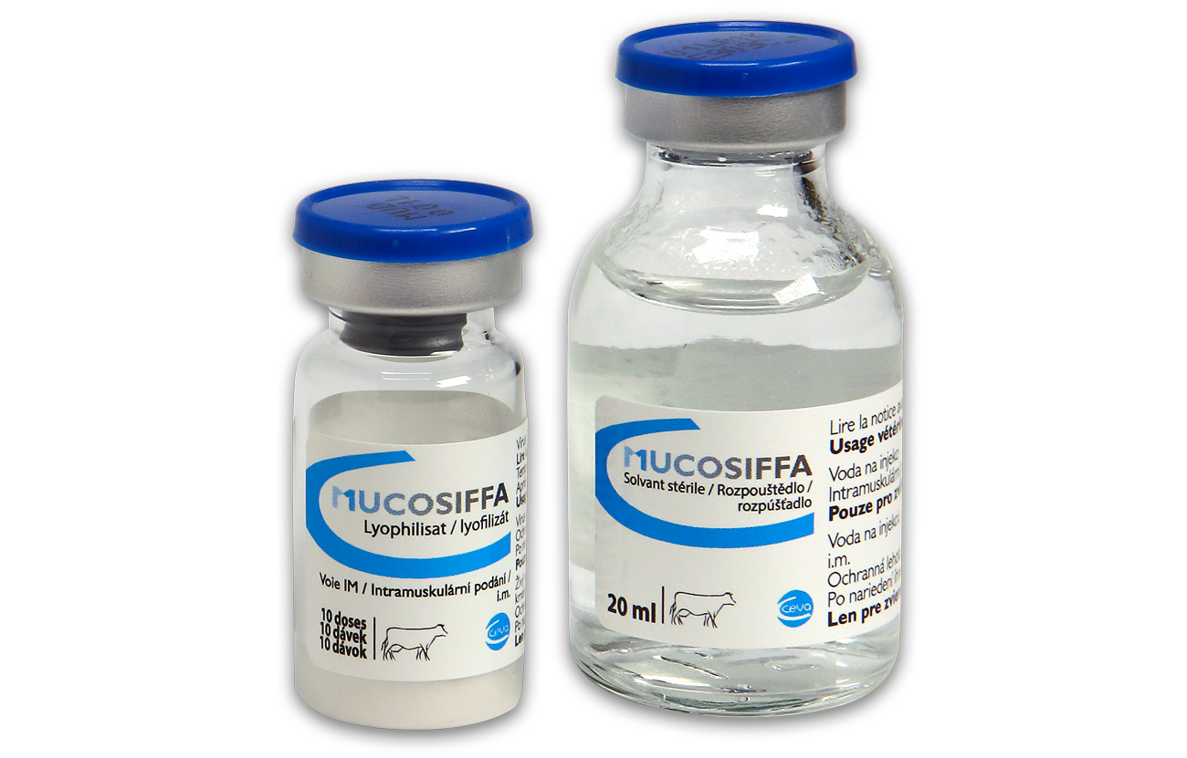 Mucosiffa bottle