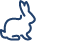 rabbit icon