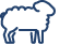 sheep icon