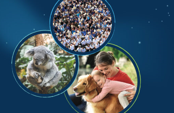 Ceva Together Beyond animal Health