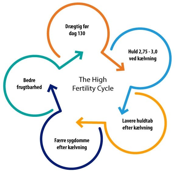 The High Fertility Cycle_ de 5 steps_Ceva