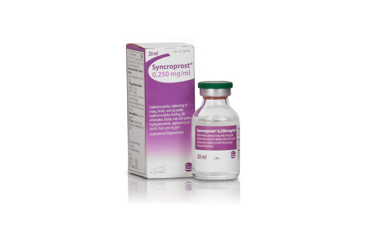 Syncroprost_ceva