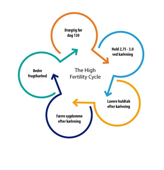 The High Fertility Cycle_gør gode køer drægtige_Ceva
