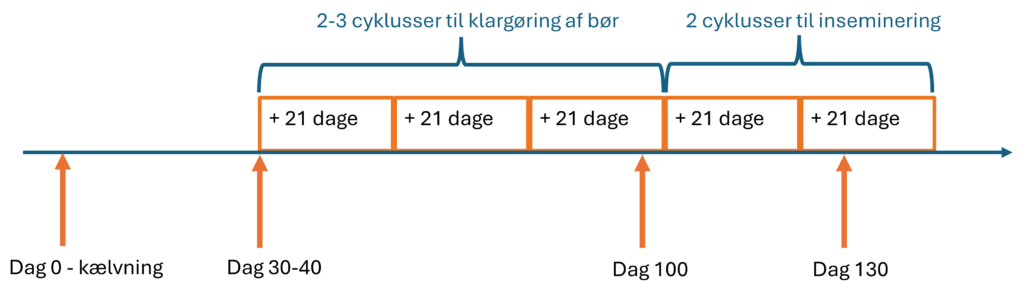 Tidslinje og cyklusser_drøgtig inden dag 130_opførlgning_forundersøgelse_Ceva